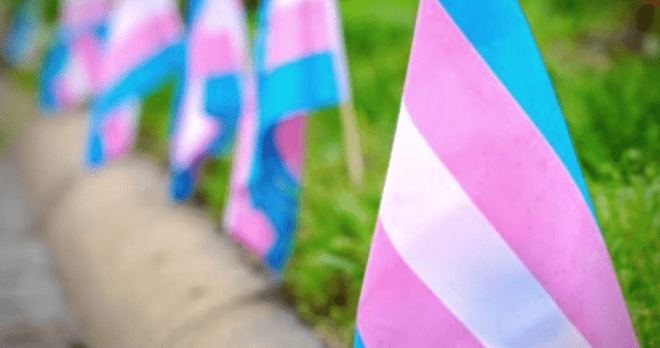 Trans Flag